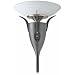 Hunter 21632 Concert Breeze Duo Wireless Speaker Floor Lamp with Maestro Transmitter, Black