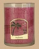 Aloha Bay Scented Palm Wax Deco Candle Jars Mulberry