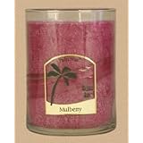 Aloha Bay Scented Palm Wax Deco Candle Jars Mulberry