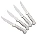 Farberware 4-Piece Boxed Steak Knife Set with Stainless Handles