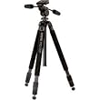 Sunpak 69.5" Pro 723PX Carbon Fiber Tripod With 3-Way Panhead QR and Case
