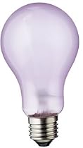 Full Spectrum 100 Watt Neodymium A21 Light Bulb, Clear
