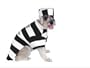 LARGE - Prison Pooch Dog Costume [Misc.] [Misc.]