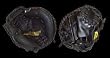 AMINI 40 Replica Catcher's Mitt