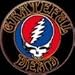 Grateful Dead Steal Your Face Button