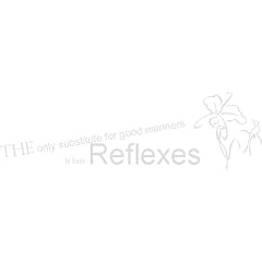 WANDTATTOO f485 Spr�che & Zitate "The only substitute for good... 80x24 cm - silber