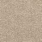 Bowen Chenille, Cream