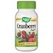 Cranberry Fruit