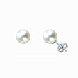 Natural White 5.5-6mm Round Cultured Pearl Studs Earrings (Available: Sterling Silver or 14K White Gold)