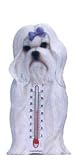 Thermometer - Maltese