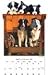 Border Collie 2009 Calendar Holder Gift Set
