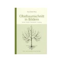 Obstbaumschnitt in Bildern: Kernobst - Steinobst - Beerenstr�ucher - Veredlung