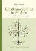 Obstbaumschnitt in Bildern: Kernobst - Steinobst - Beerensträucher - Veredlung