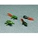 Search : Evolving Tadpoles - Life Cycle of the Frog