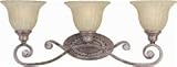 Bathroom Fixtures Forte Lighting 5000-03