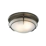 Broan Decorative Ventilation Fan / Light, Pewter Finish