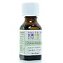 Frankincense - 0.5 oz - EssOil