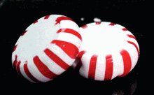 Celebrate Tin Filled with 1 lb Sugar Free Starlight Mints, Individually Wrapped by Sugar Free Candy Man