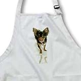 Dogs Chihuahua - Long Hair Chihuahua - Aprons