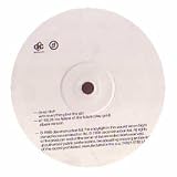 Future of the Future [12" VINYL]