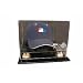 Philadelphia Phillies 2008 World Series Champions Cap Display Case