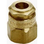 Champion Irrigation #B6F Brass Adjustable Bubbler Head