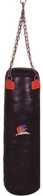 punching bag in leather with chains unfilled