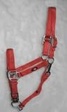 Hamilton Halter Company 8-11 Adj Halter W Snp,brshd Hd Redbrick Average - B 1DAS AVRB
