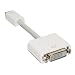 Electronics : Mini-DVI to DVI-D Adapter Cable for Apple Mac
