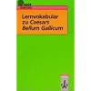 Lernvokabular zu Caesars Bellum Gallicum