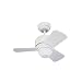 Monte Carlo 3TF24WH Micro 24, 24-Inch 3-Blade, Ceiling Fan, Damp Location, White Motor Finish and White Blades