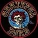 Grateful Dead Skeleton and Roses Patch