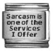 Clearly Charming Sarcasm Is One Of The Services I Offer Laser Italian Charm Bracelet Link