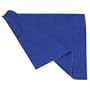 Adorama Microfiber Cleaning Cloth, Small Size 6" x 7"