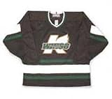 Michigan K-Wings International Hockey League Youth Jersey