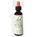 Bach - Flower Essence Star of Bethlehem - 20 ml