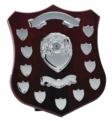 10 Presentation Shield 7 year Annual