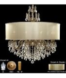 American Brass and Crystal CH6578-OS-GS-12G-PI-DC Llydia 12 Light Single Tier Chandelier in Polished Brass with Black Inlay with Golden Shadow Strass Teardrop crystal