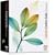 Adobe Creative Suite Premium 2.3 Win [Old Version]