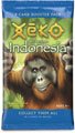Xeko CCG Mission Indonesia Bstr Dis PSI XINB24-D