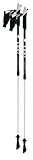 LEKI Instructor Nordic Walking Poles - In Your Choice of Colors