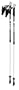 LEKI Nordic Walking Instructor Trekking Pole