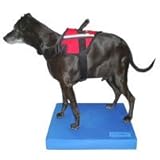 FitPAWS Balance Pad for Dogs