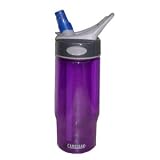 CamelBak CamelBak Bottle .5L (Purple)
