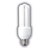 TRIPLE TUBE COMPACT FLUORESCENT BULB 15 WATTS 30K WARM TONE ENERGY STAR CFL REPLACES 60 WATT INCANDESCENT BULBS