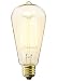 30 Watt Squirel Cage Vintage Edison Reproduction Light Bulb
