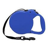 Flexi Long Run - 26' Large - Blue