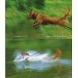 Beautiful Evidence