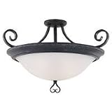 Ceiling Fixtures Sea Gull Lighting 7708