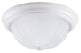 Westinghouse 64362 Two-Light Flush Mount Ceiling Fixture, White with Frosted Globes